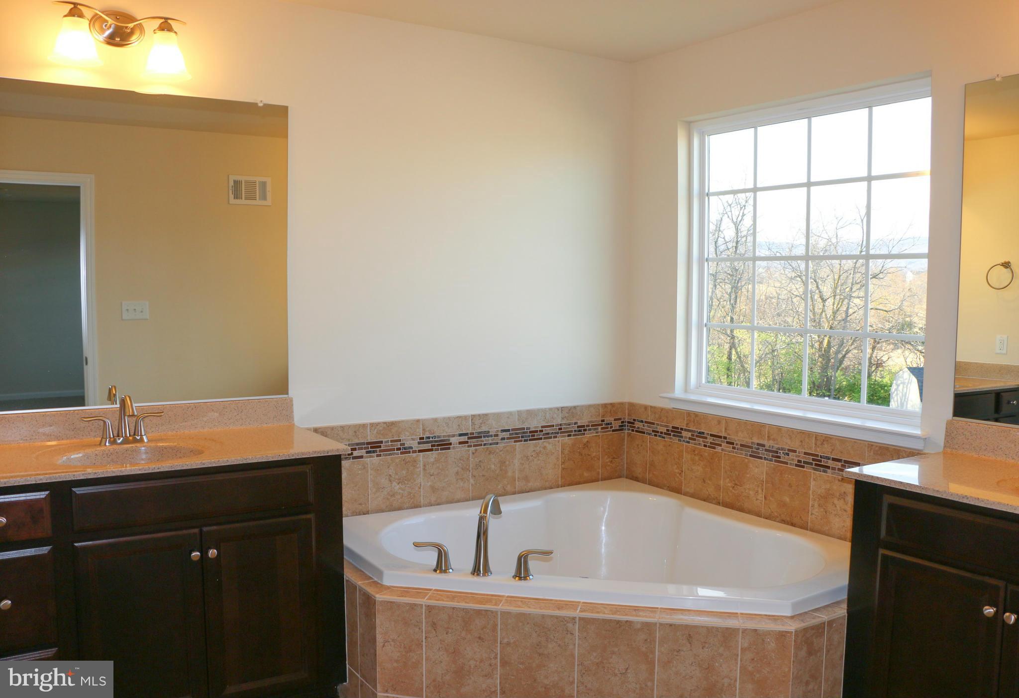 227 Windom Way Frederick, MD 21702 - Photo 14 of 19 Bath (Master)