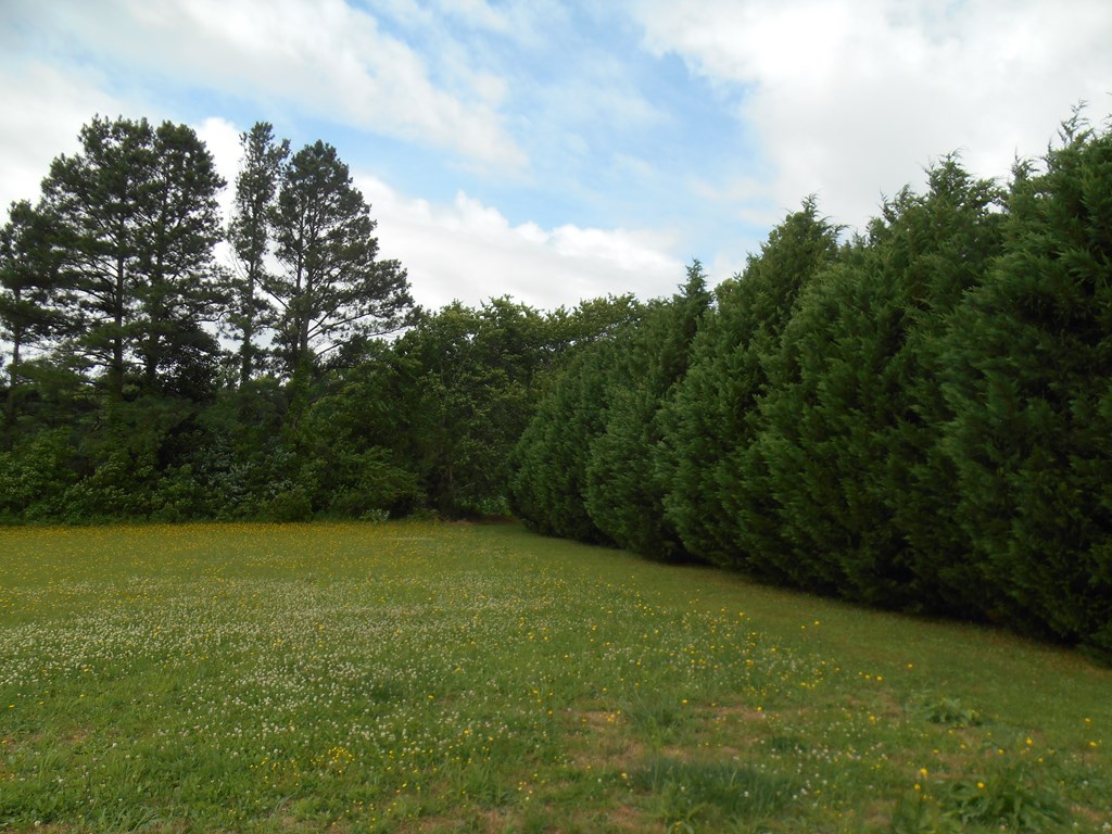 0 Logan Road Onley, VA 23418 - Photo 5 of 12