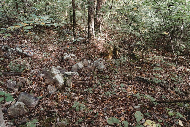 0 Powder Springs Circle Flintstone, GA 30725 - Photo 4 of 13 Gallery Image 4