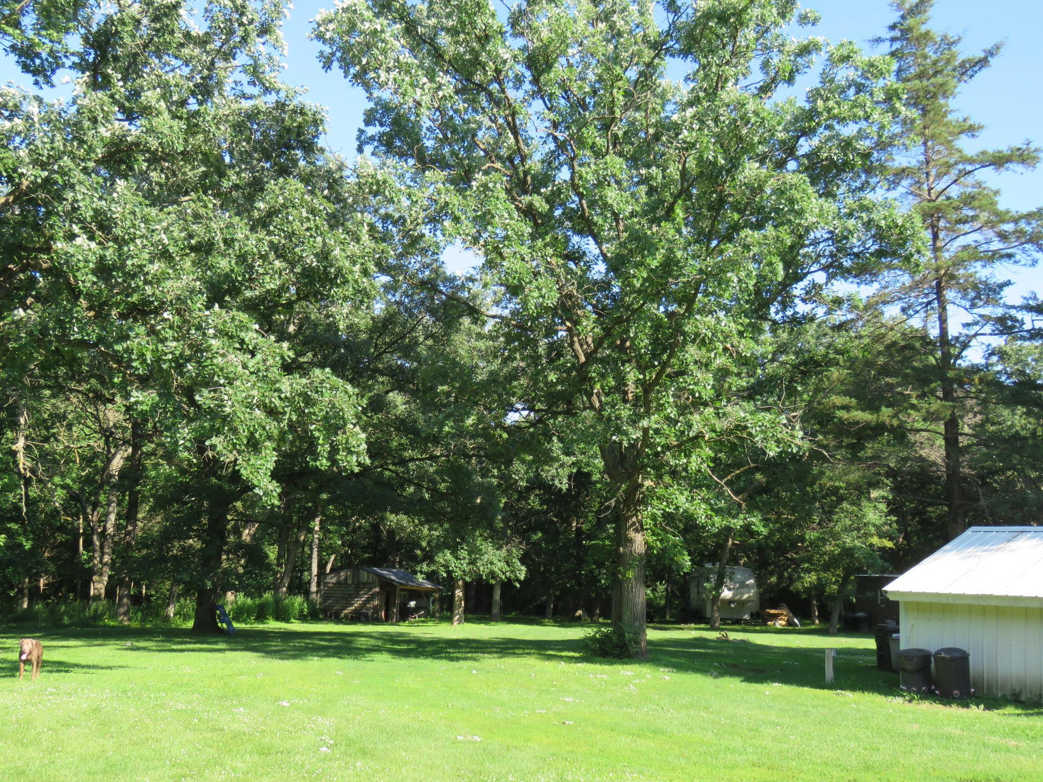 7738 County Road 17 Rice, MN 56367 - Photo 15 of 57