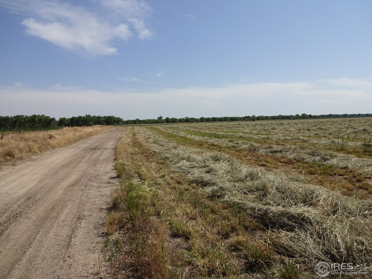 0 County Rd T Fort Morgan, CO 80701 - Photo 8 of 10 Road on East side