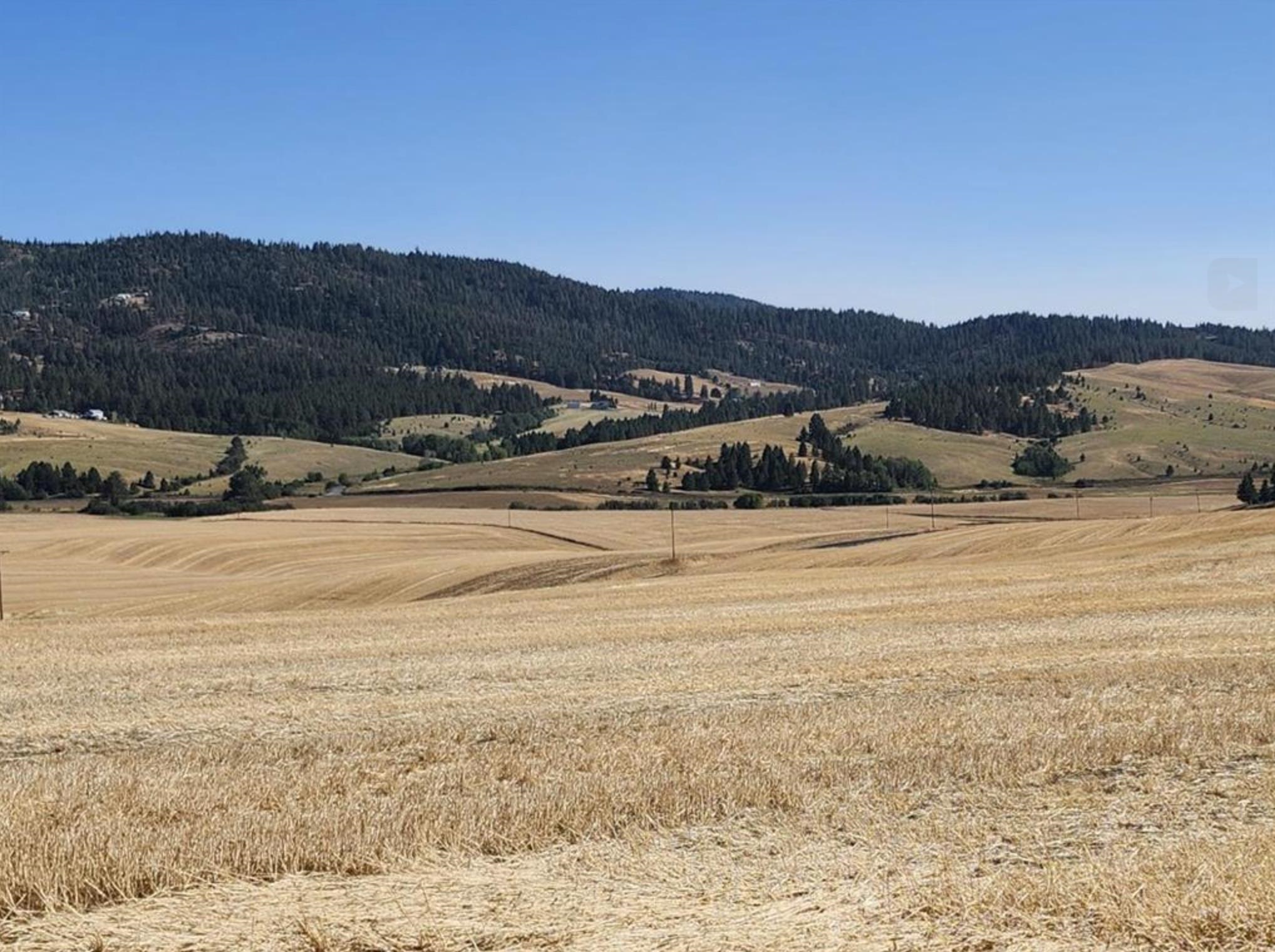 Jackson South Jackson S 8006th Road Mica, WA 99023 - Photo 2 of 13 Gallery Image 2