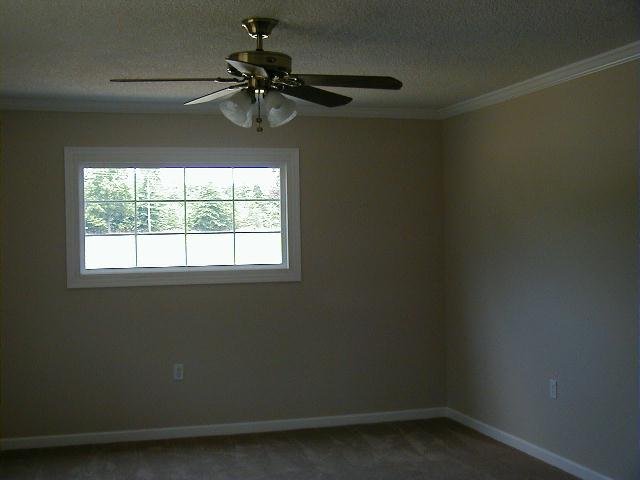 909 Pettigrew Road Starr, SC 29684 - Photo 3 of 5