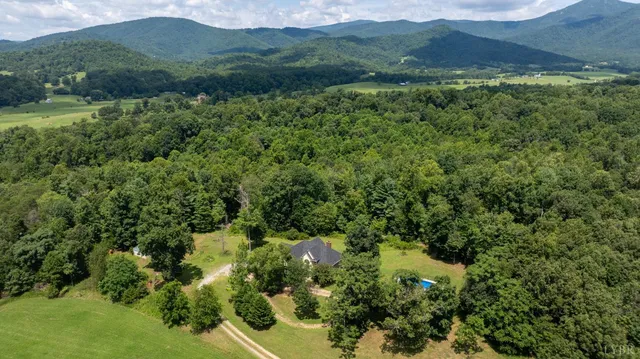 a view of a park with large trees