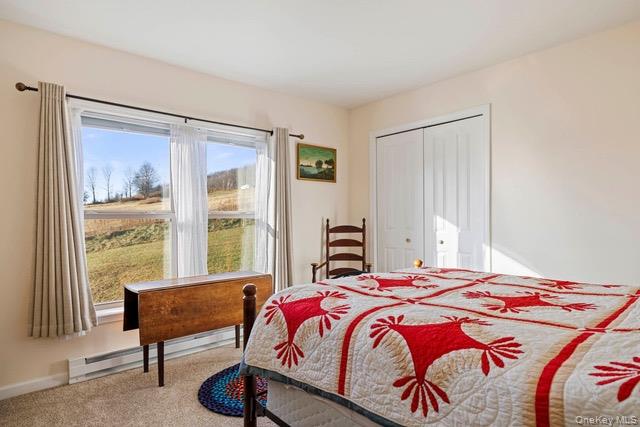 130 Hanley Road Fleischmanns, NY 12430 - Photo 18 of 39 a bedroom with a bed and a window