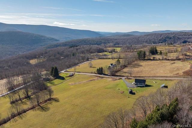 130 Hanley Road Fleischmanns, NY 12430 - Photo 28 of 39 an aerial view of residential houses with outdoor space