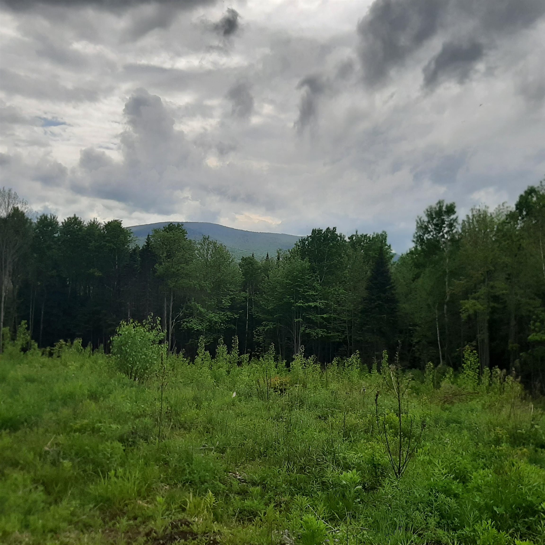 Lot 16 Oakes Road, Unit LOT 16 Colebrook, NH 03576 - Photo 3 of 11