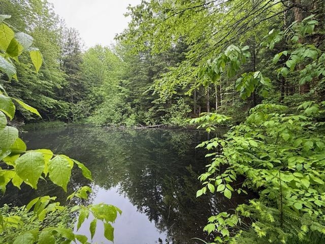 Lot 16 Oakes Road, Unit LOT 16 Colebrook, NH 03576 - Photo 10 of 11