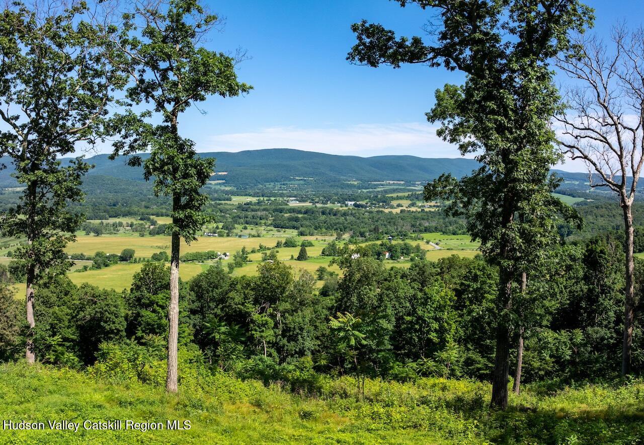 0 High Meadow Road Copake, NY 12516 - Photo 2 of 12 a view of a garden with a house