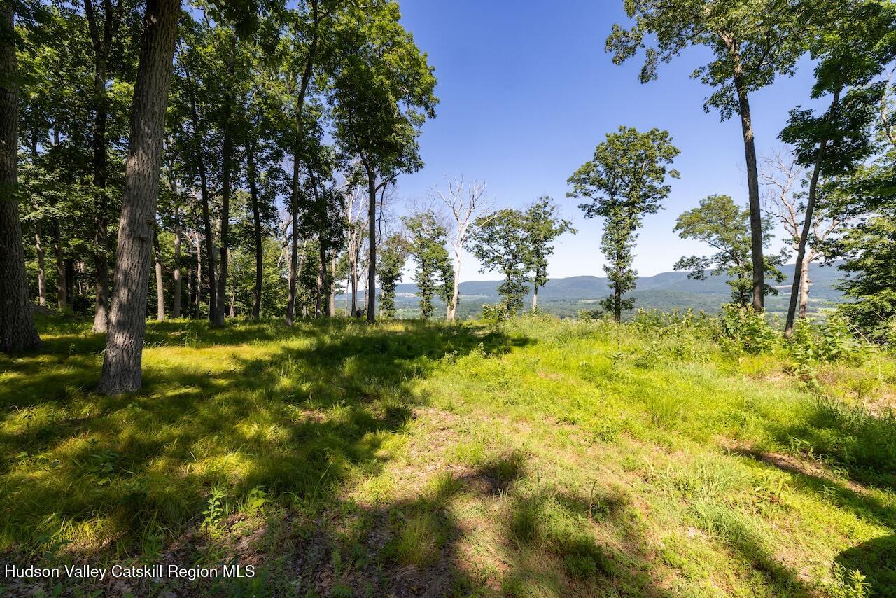 0 High Meadow Road Copake, NY 12516 - Photo 10 of 12 a swimming pool with trees in the background
