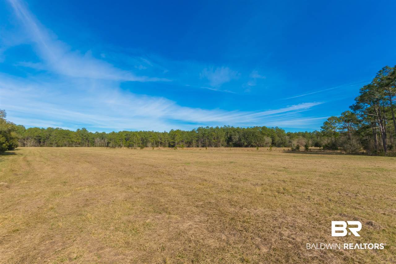 21801 County Road 28 Foley, AL 36535 - Photo 37 of 41