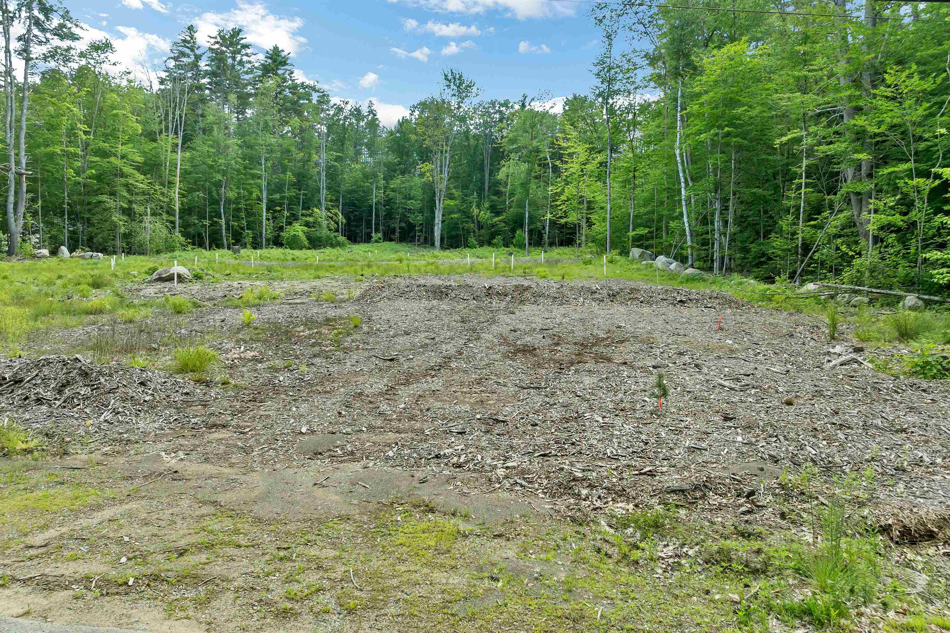92 Winona Shores Road Meredith, NH 03253 - Photo 6 of 52