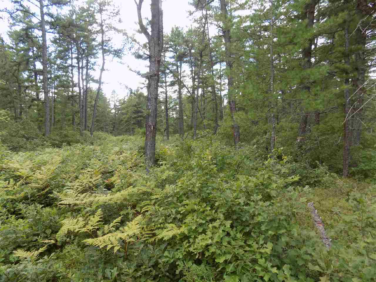 0 Plains Road, Unit 6 Silver Lake, NH 03875 - Photo 1 of 4