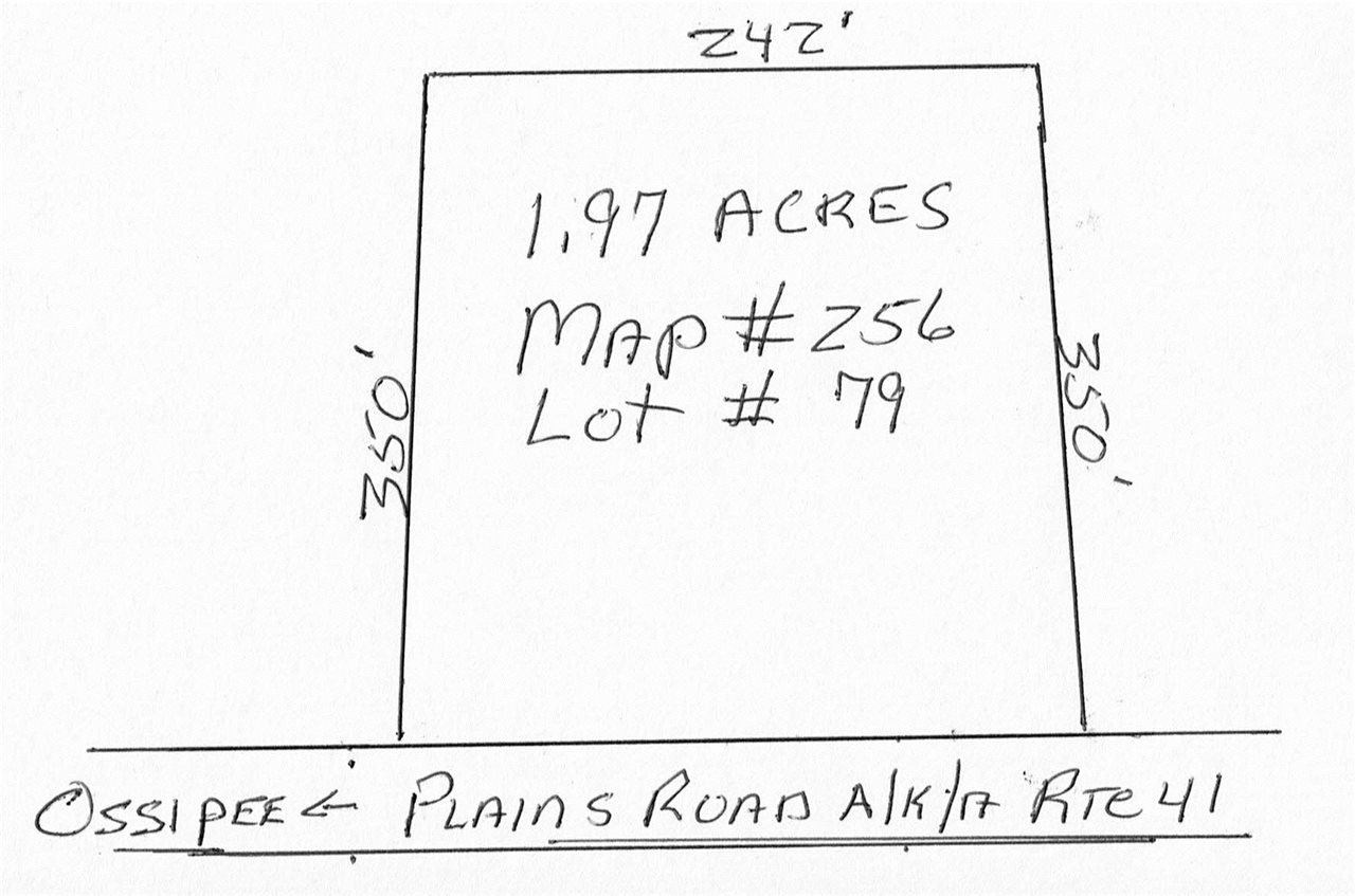 0 Plains Road, Unit 6 Silver Lake, NH 03875 - Photo 4 of 4