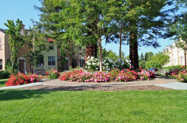 104 Whits Road Mountain View, CA 94040 - Photo 22 of 24