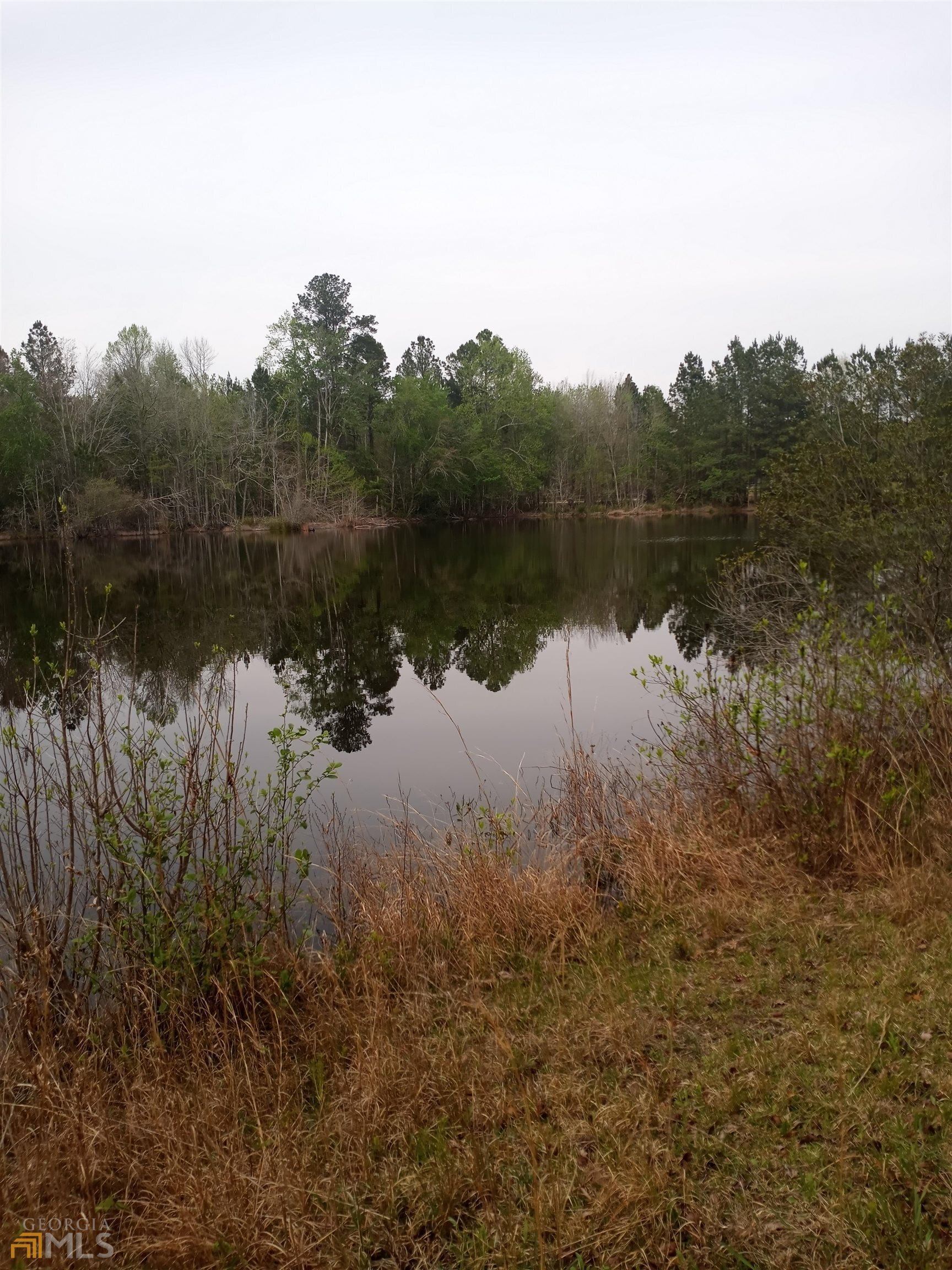 a view of lake with green space