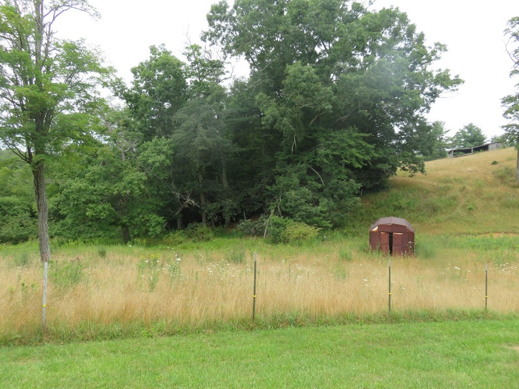 1905 Keno Road Fancy Gap, VA 24328 - Photo 22 of 46 Gallery Image 22