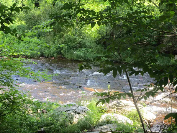 $430,000 | 1950 North Main Street, Londonderry, VT 05148