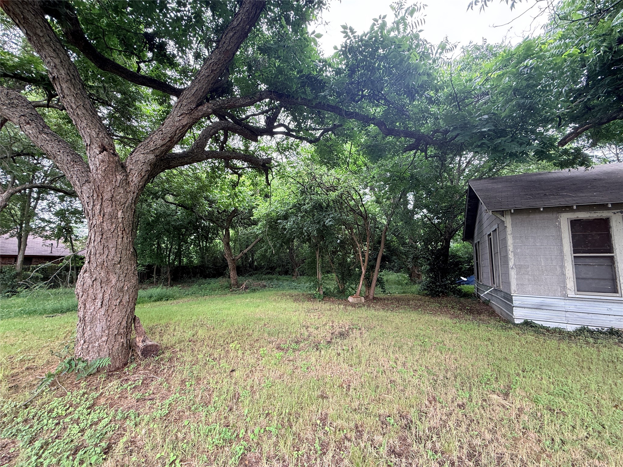 2922 MacArthur Drive Waco, TX 76708 - Photo 6 of 19 Mature shade trees and detached accessory structure.