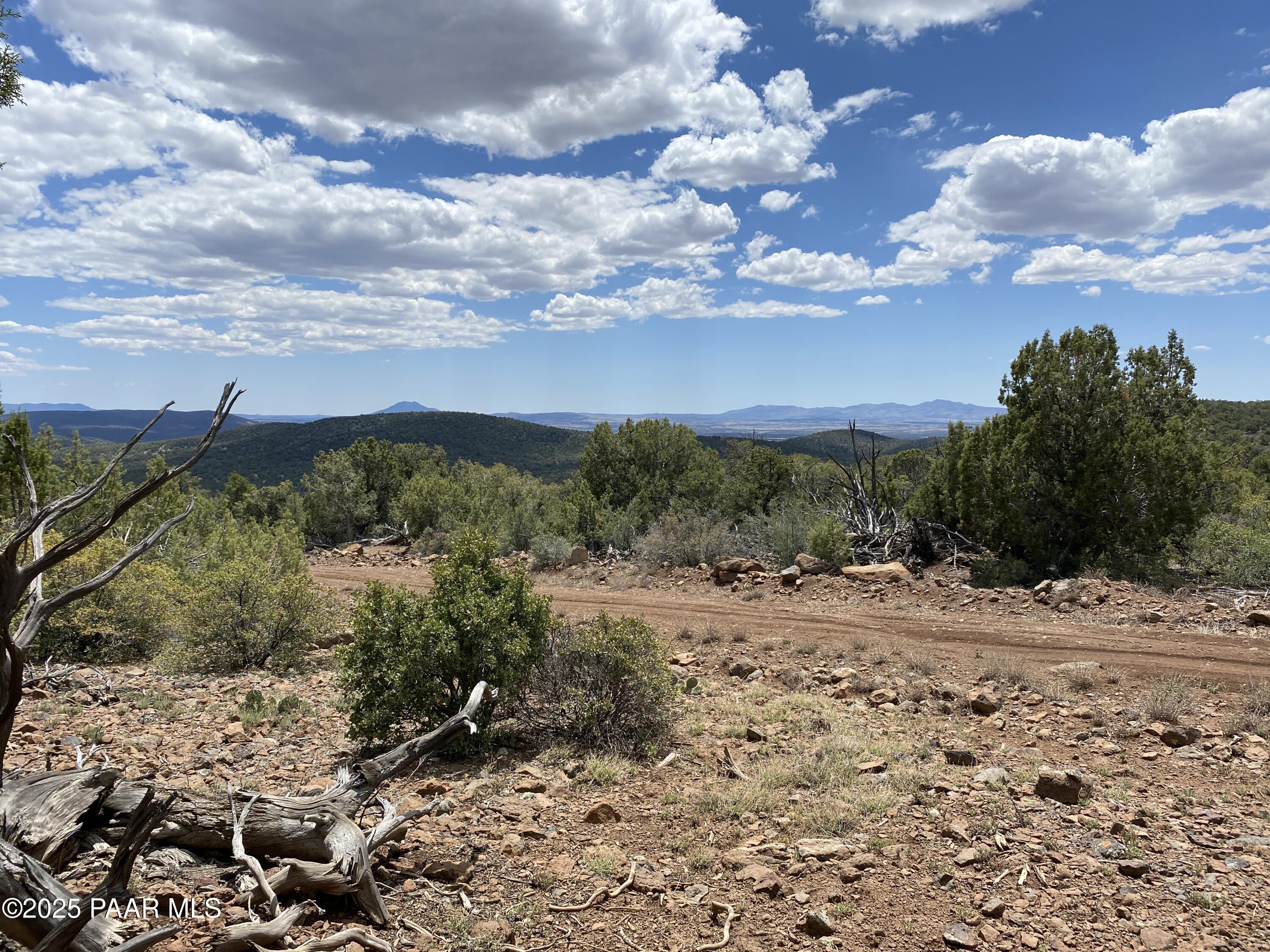 0 Shiloh Road Seligman, AZ 86337 - Photo 10 of 37 IMG_1002