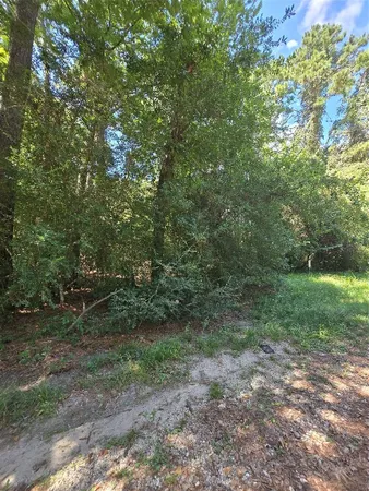 $175,000 | 0 Bourgeois Forest Drive, Houston, TX 77066