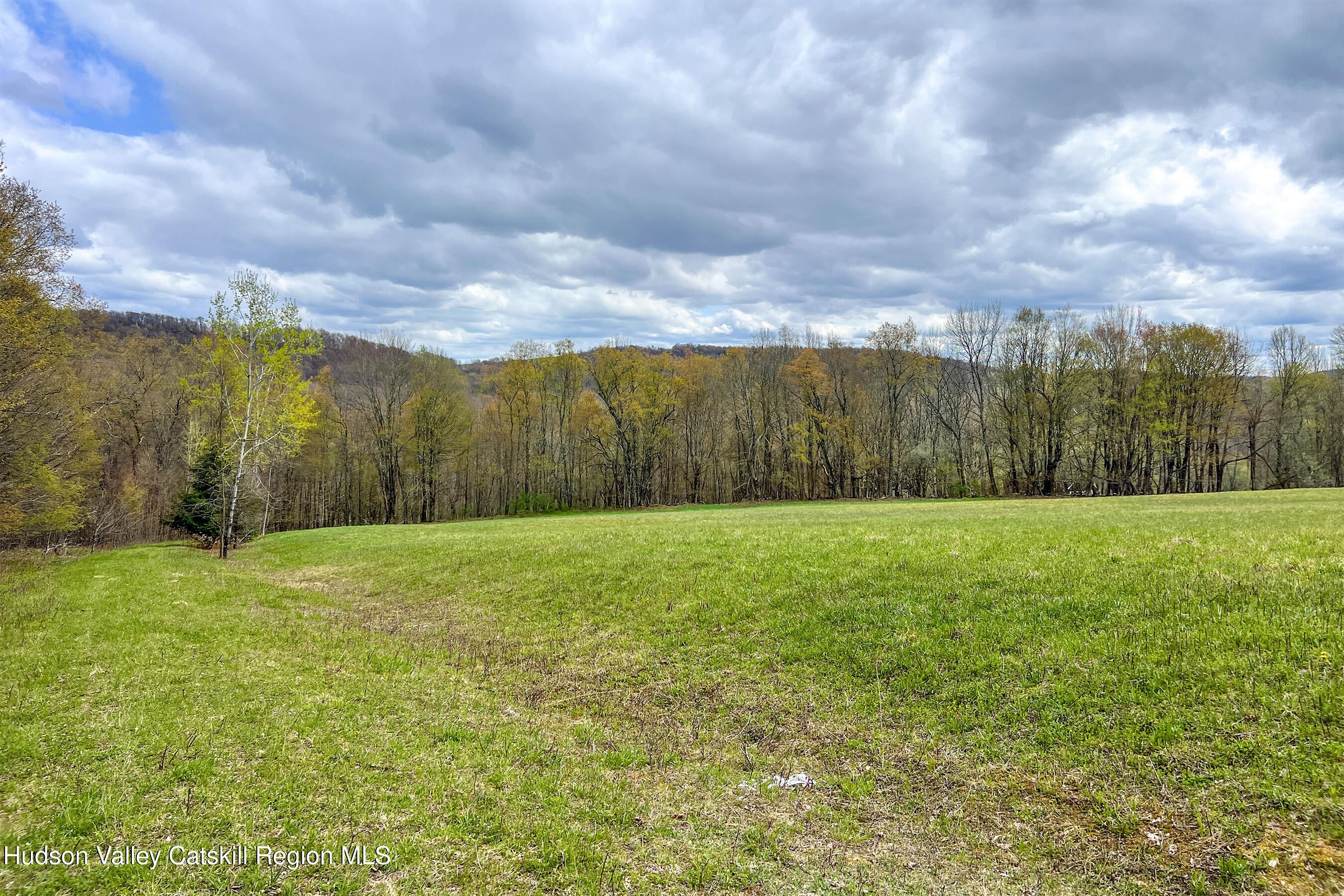 0 Brownell Road Bloomville, NY 13739 - Photo 13 of 39 23 acres Brownell Rd -- 011