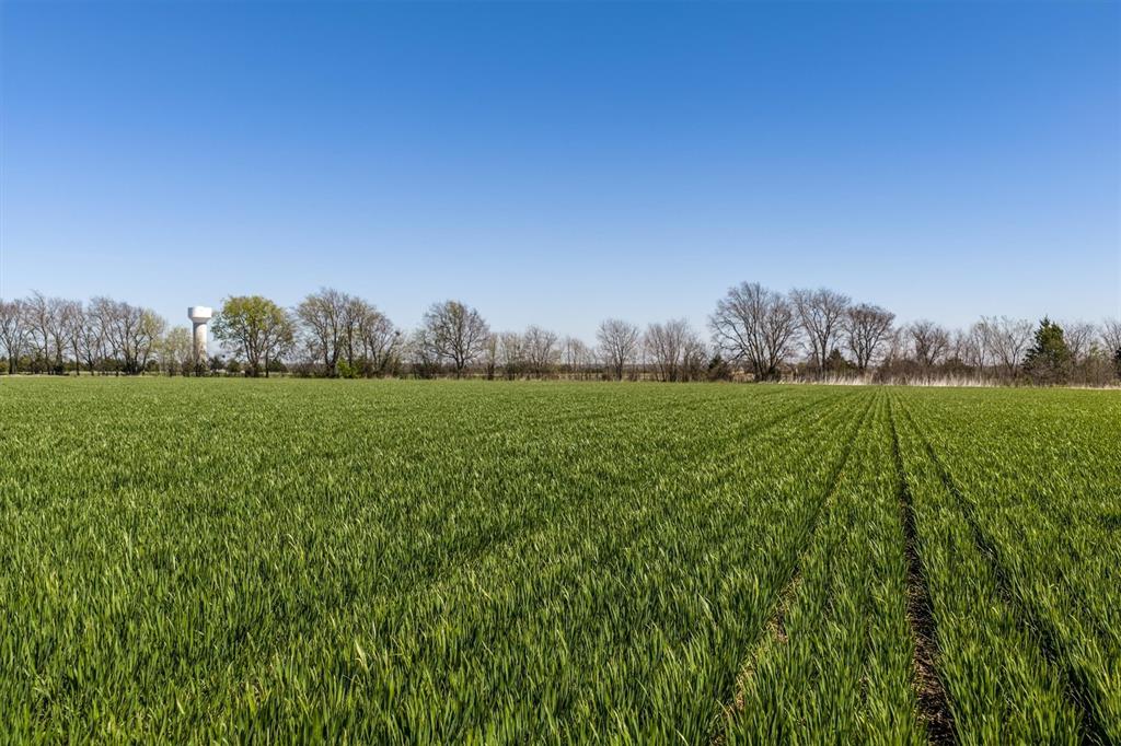 Tbd John Marr Road Van Alstyne, TX 75495 - Photo 20 of 21 a view of a green field with trees in the background
