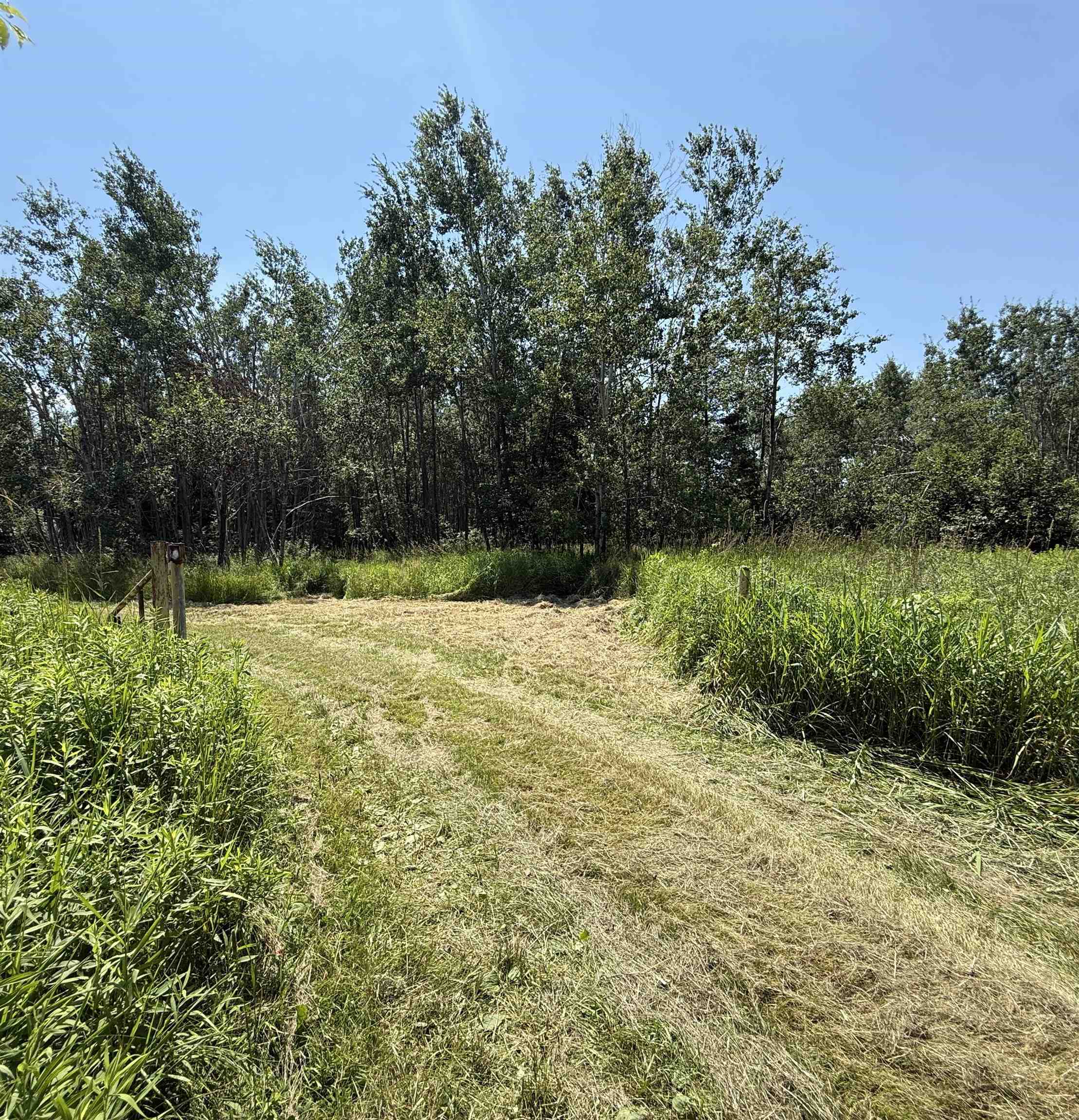 Red Hickory Road Eland, WI 54427 - Photo 1 of 28