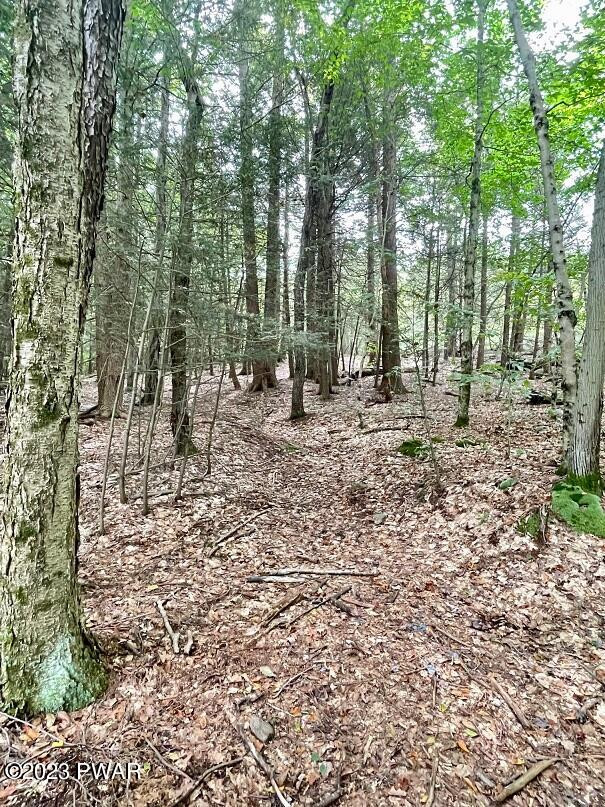 45 Jacob Road Waymart, PA 18472 - Photo 21 of 23