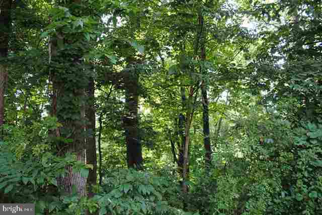 Lot 2 Becker Road Bainbridge, PA 17502 - Photo 1 of 1 Gallery Image 1