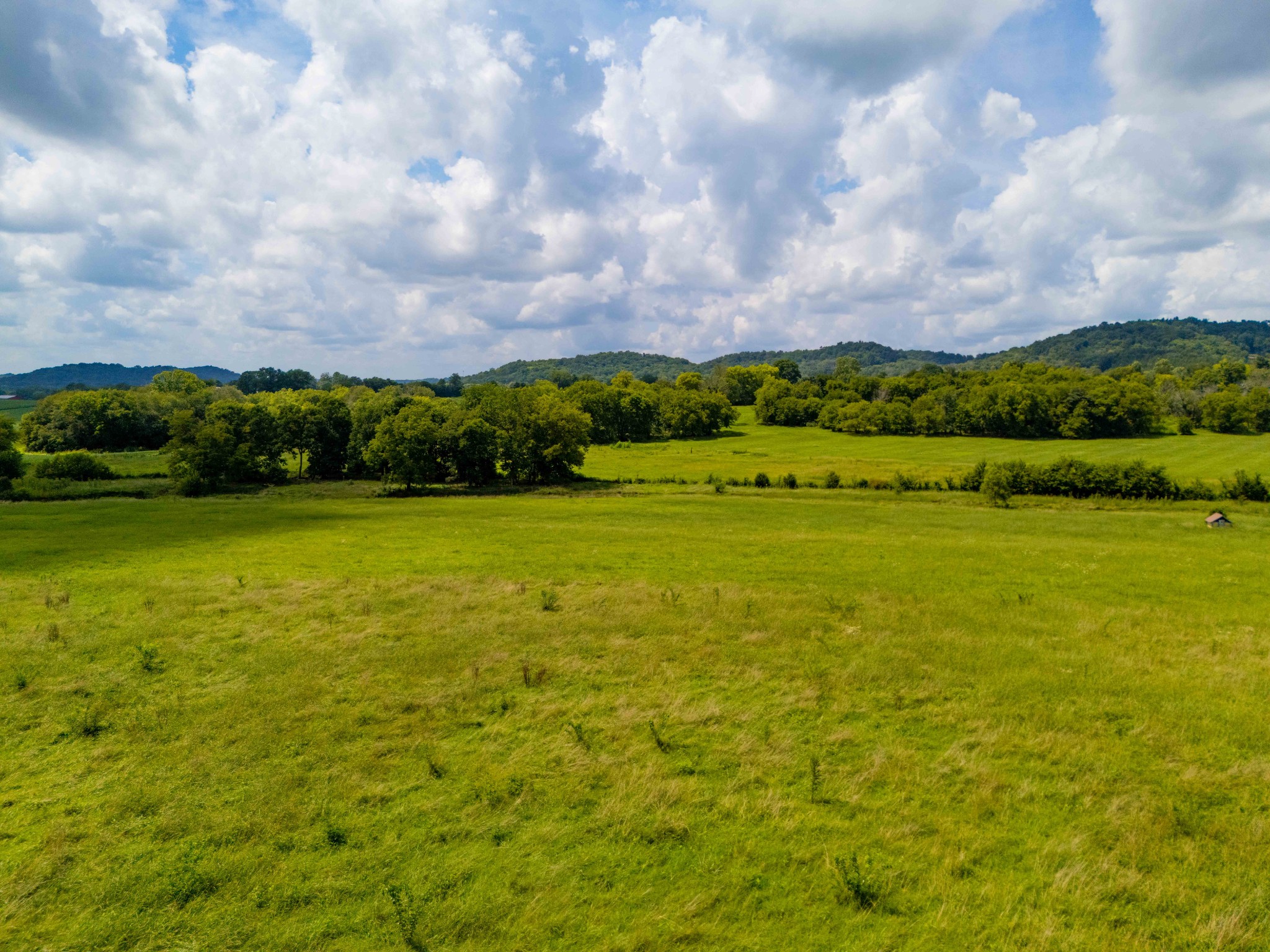 1375 Kittrell Road Franklin, TN 37064 - Photo 15 of 23 Gallery Image 15