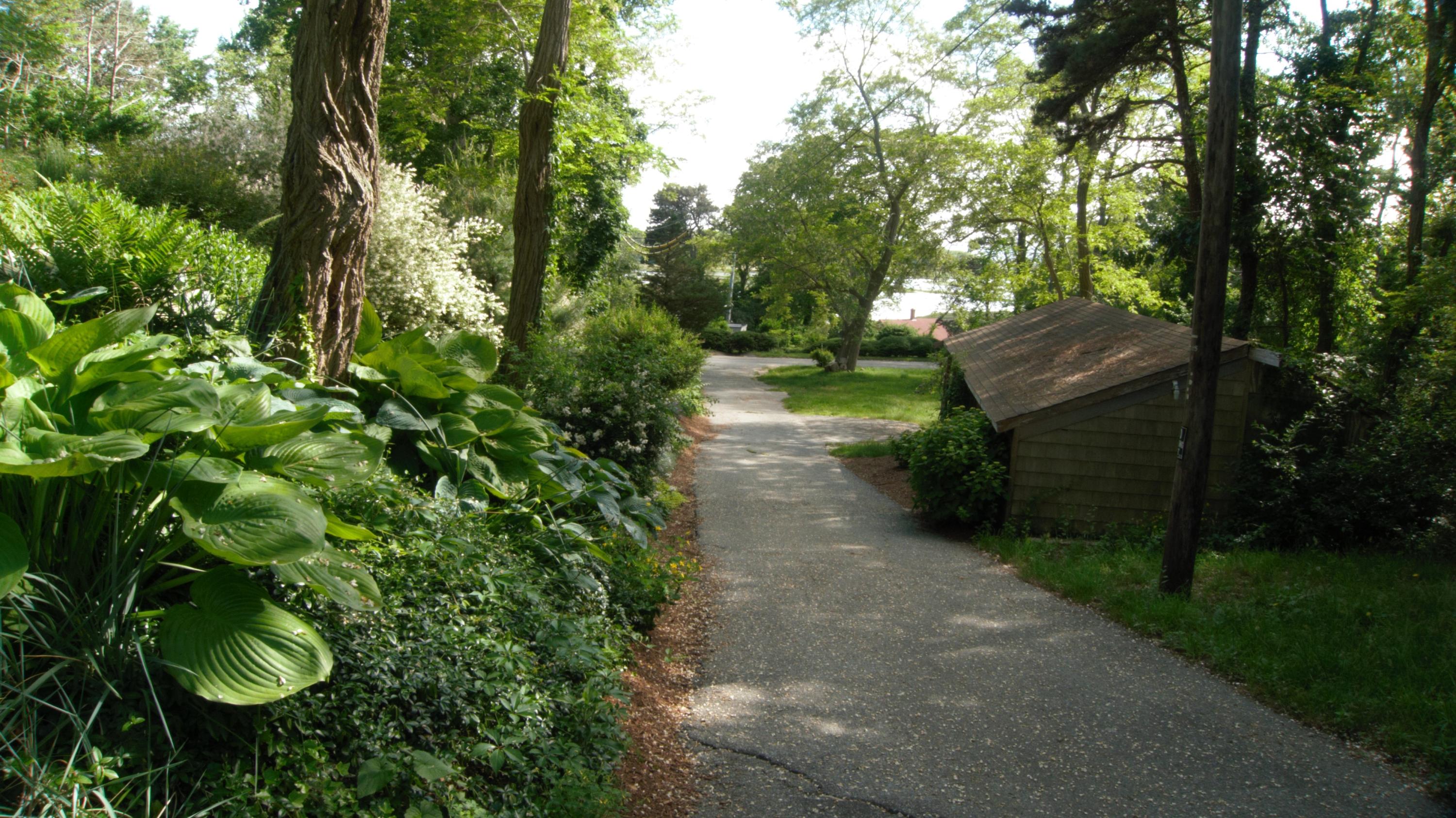 41 Castle Road Truro, MA 02666 - Photo 2 of 16 a view of a pathway with a tree