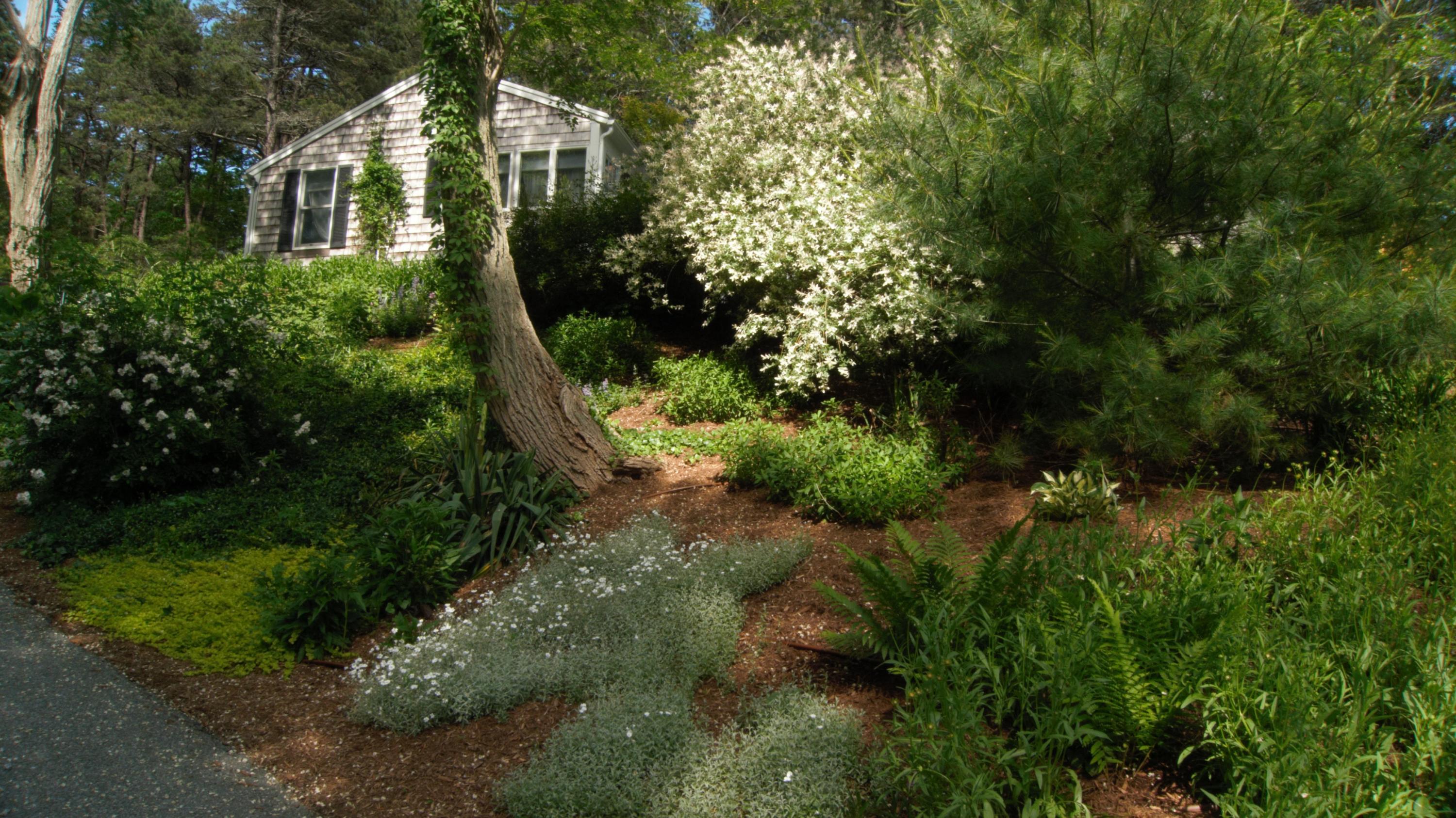 41 Castle Road Truro, MA 02666 - Photo 3 of 16 an aerial view of a house