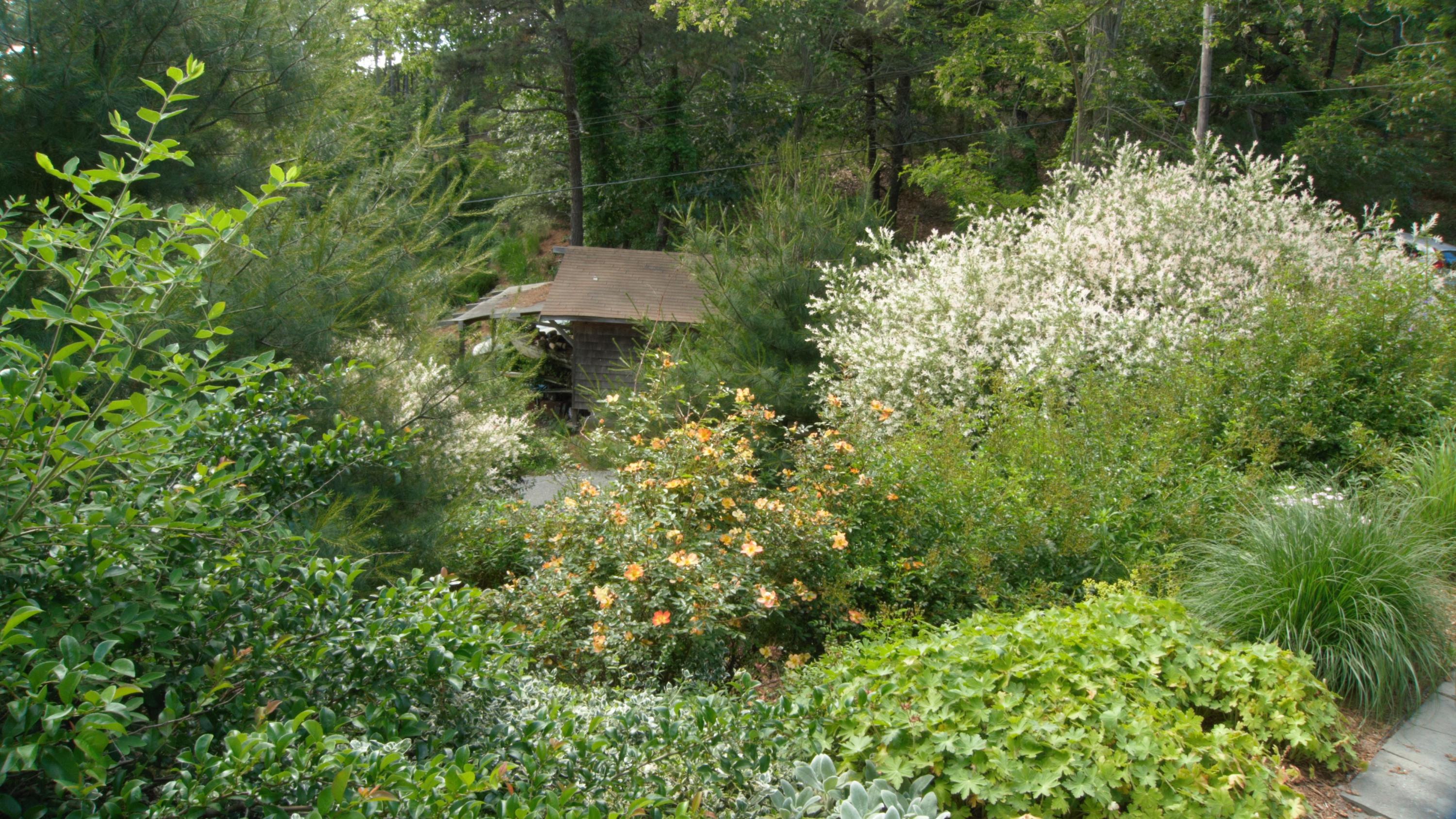 41 Castle Road Truro, MA 02666 - Photo 10 of 16 a fire hydrant in the middle of a field
