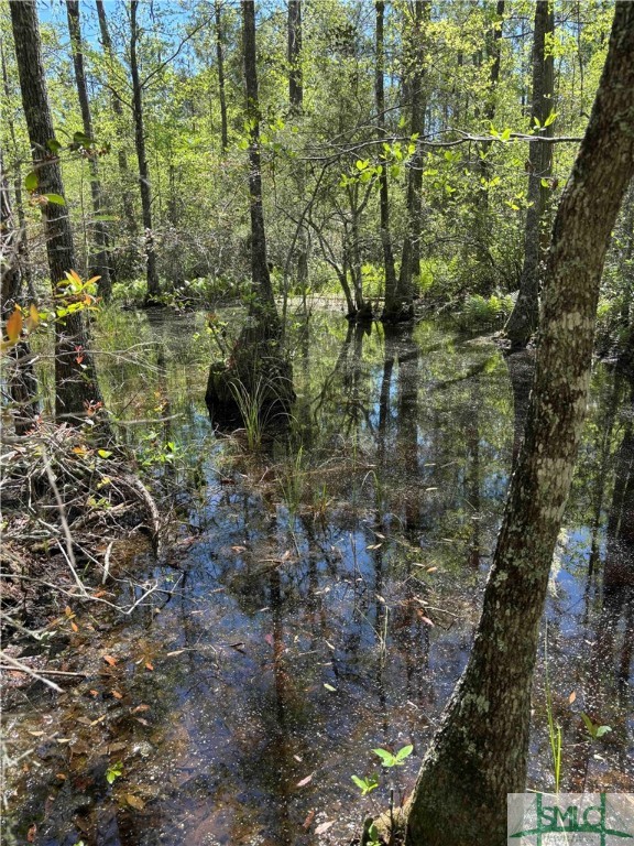 0 Stillwell Road Springfield, GA 31329 - Photo 7 of 20 Cypress trees