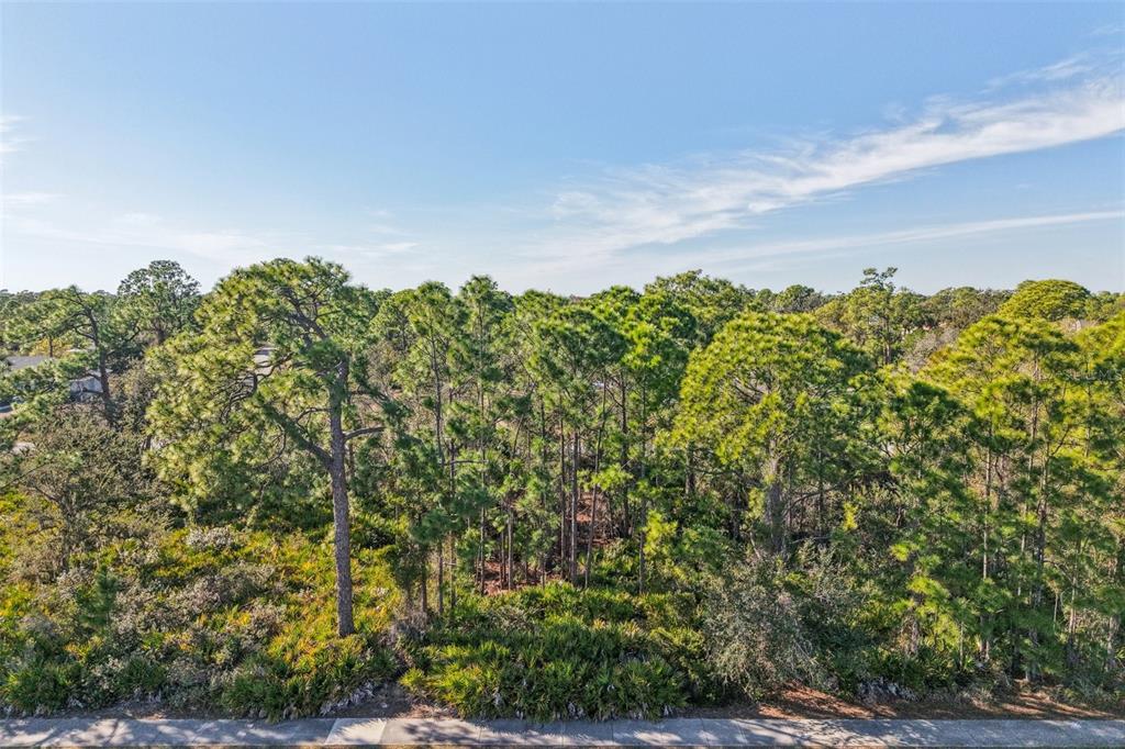 3124 Vessels Road Punta Gorda, FL 33980 - Photo 13 of 13 a backyard of a house with lots of trees