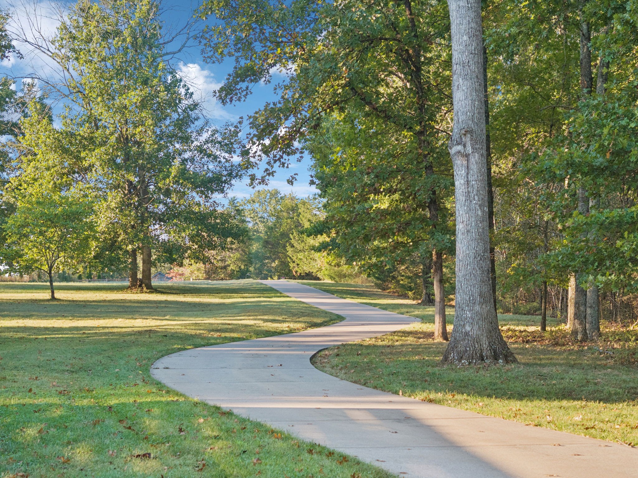 1856 Mires Road Mount Juliet, TN 37122 - Photo 24 of 93 a view of a yard with palm trees