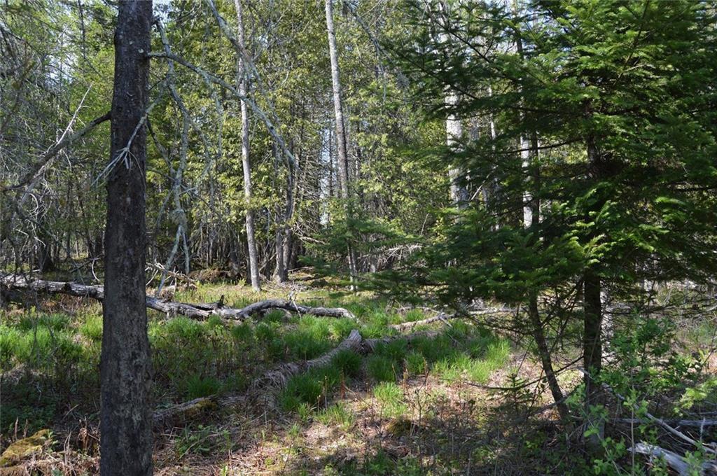 Lot 4-30 Williams Road Newport, ME 04953 - Photo 4 of 7 Photo