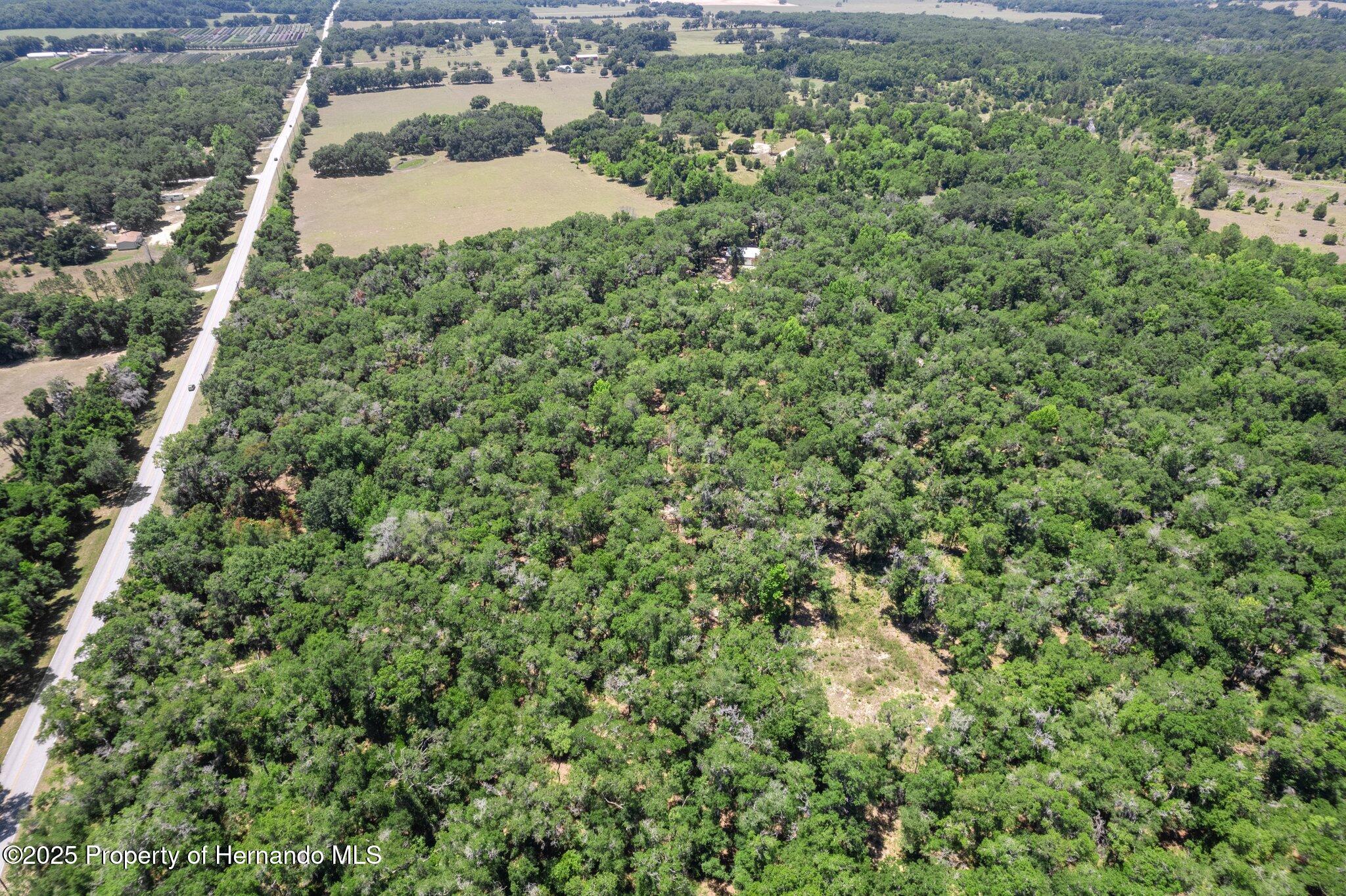 11440 South Pleasant Grove Road Floral City, FL 34436 - Photo 2 of 42