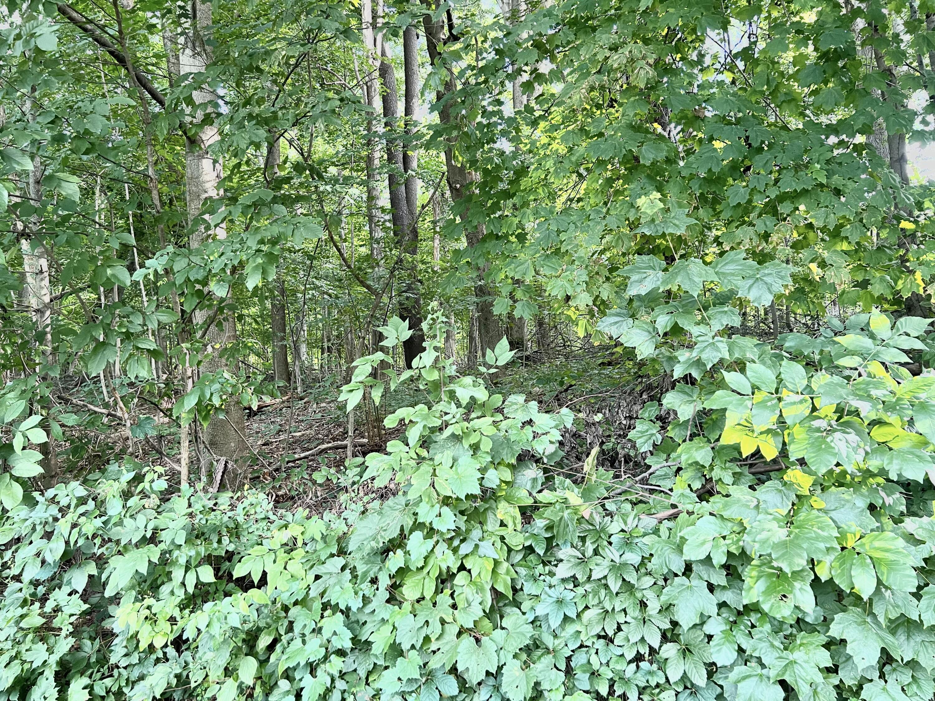 8024 North Sunset Road Reading, MI 49274 - Photo 11 of 42 FullSizeRender(11)
