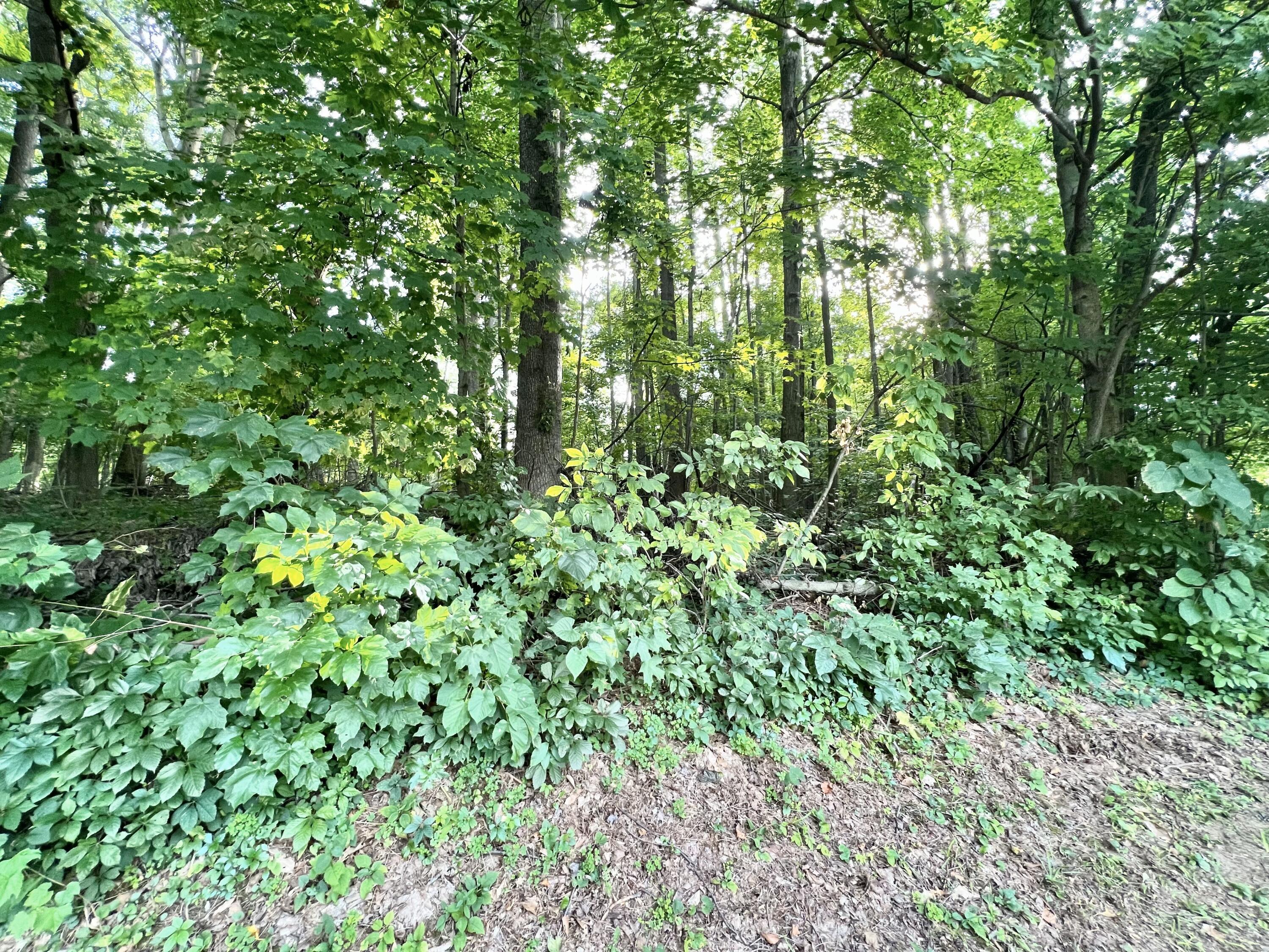 8024 North Sunset Road Reading, MI 49274 - Photo 12 of 42 FullSizeRender