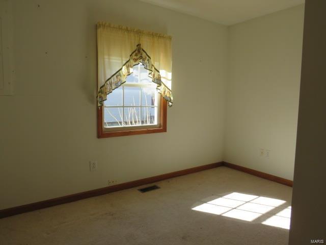 308 North Main Street Brighton, IL 62012 - Photo 9 of 12 Gallery Image 9