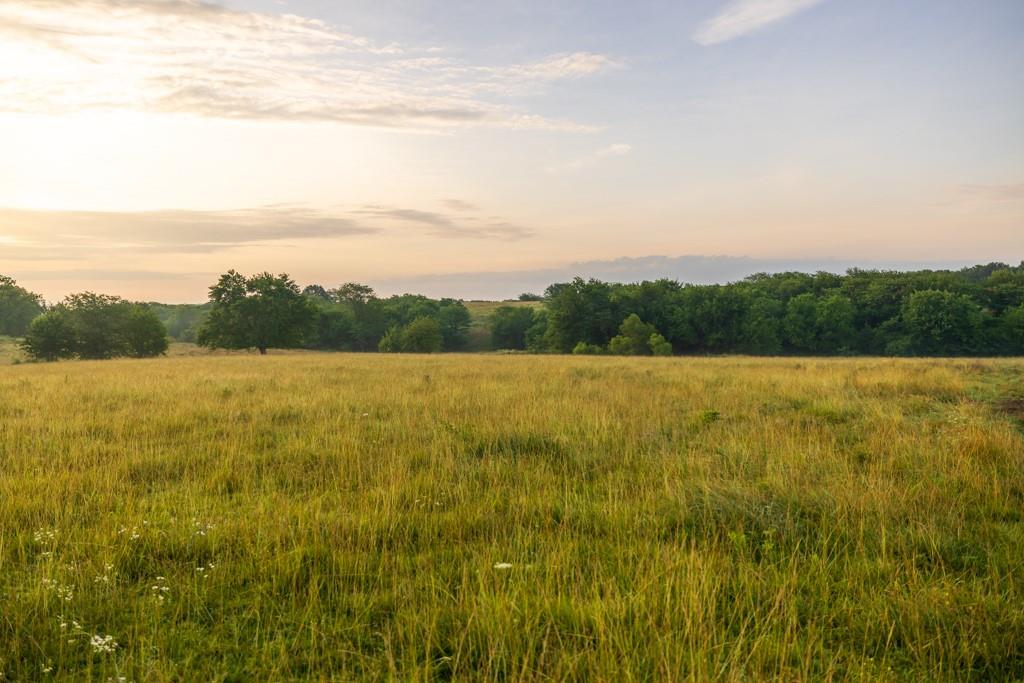0 Southeast Oliver Road Cowgill, MO 64637 - Photo 42 of 56