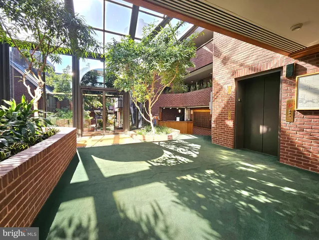 a view of a back yard of the house