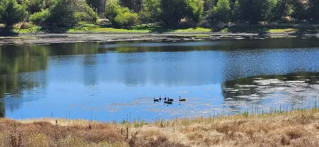 $449,900 | 17 Chukar Drive, Wallace, CA 95254