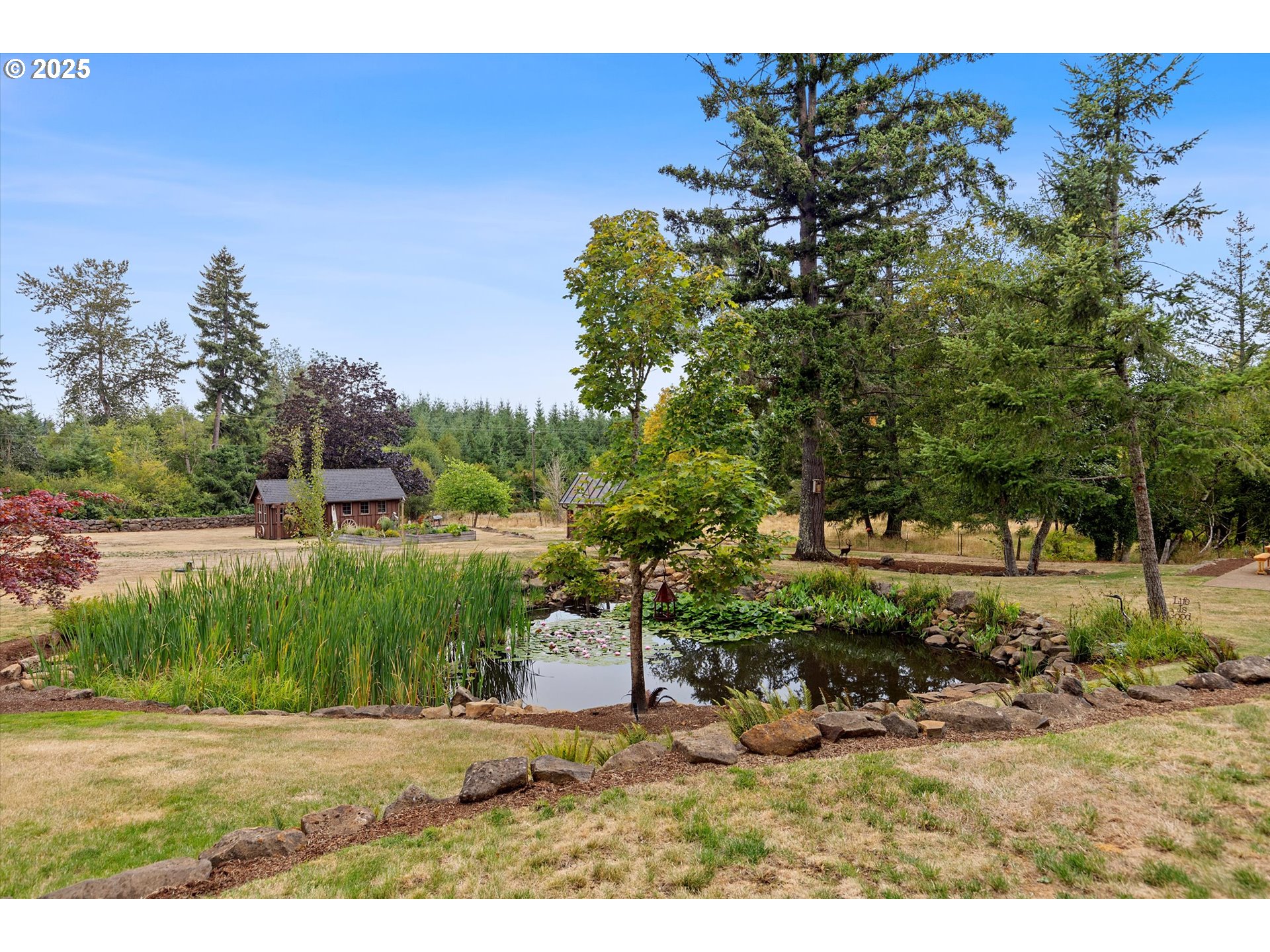 37212 South Sawtell Road Molalla, OR 97038 - Photo 20 of 46 a view of a yard with a tree