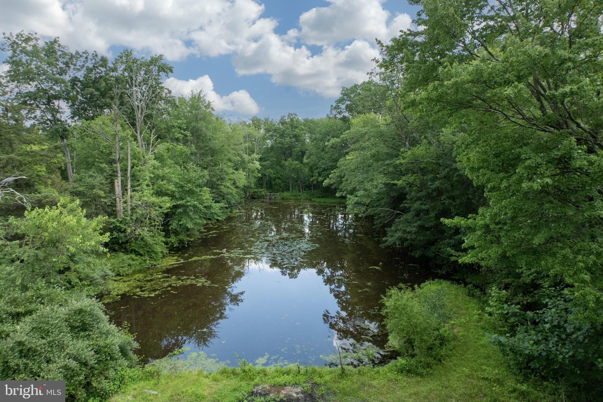 2488 Sanatoga Road Pottstown, PA 19464 - Photo 76 of 92 Pond