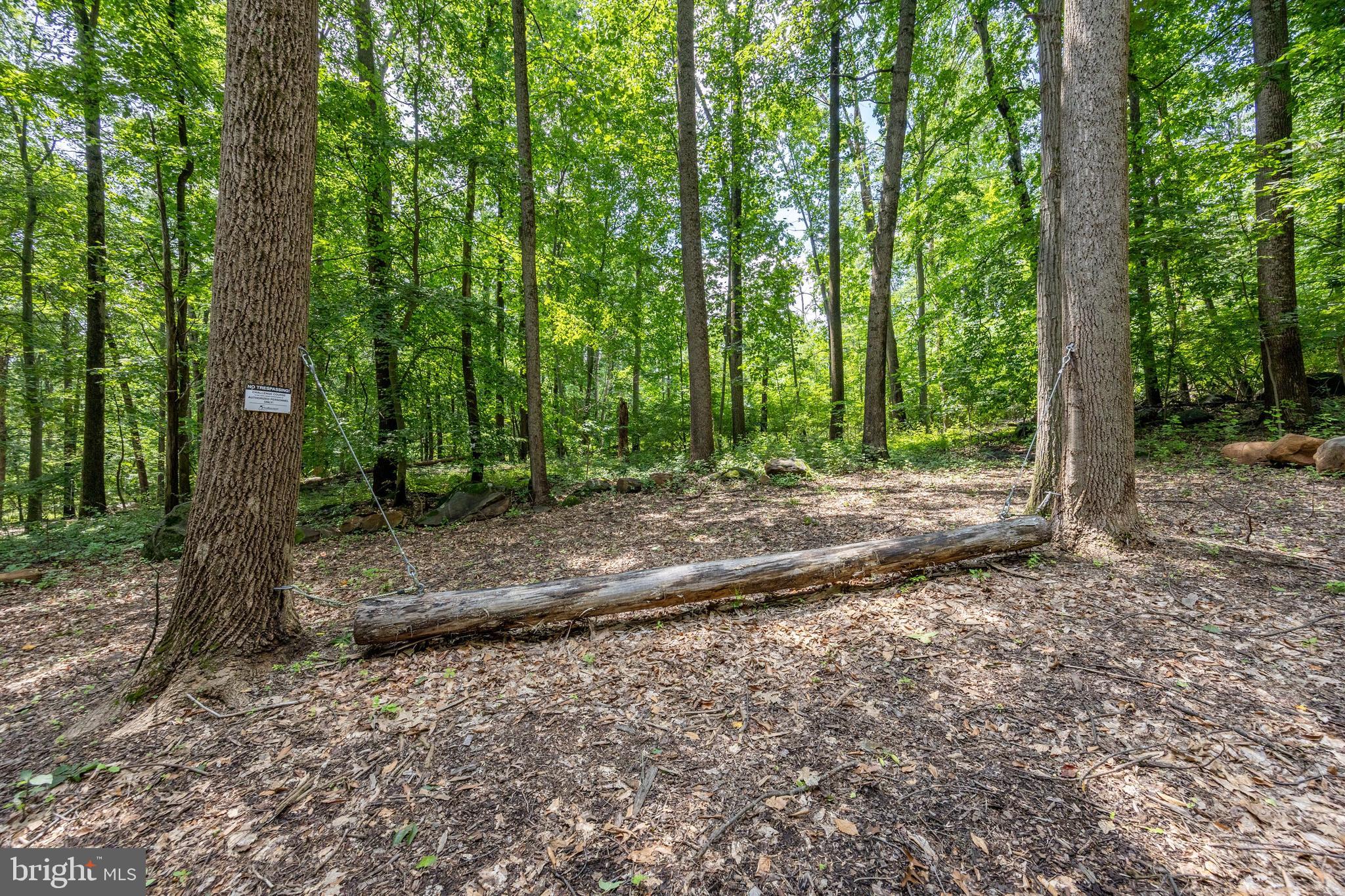 2488 Sanatoga Road Pottstown, PA 19464 - Photo 78 of 92 a view of a forest filled with trees