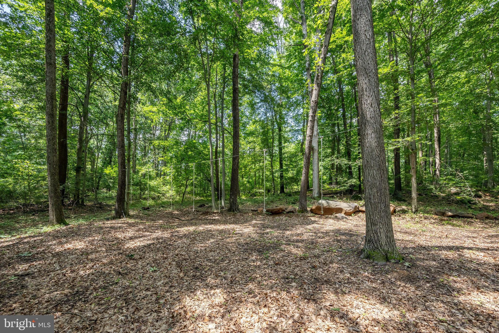 2488 Sanatoga Road Pottstown, PA 19464 - Photo 79 of 92 a view of a forest with trees in the background