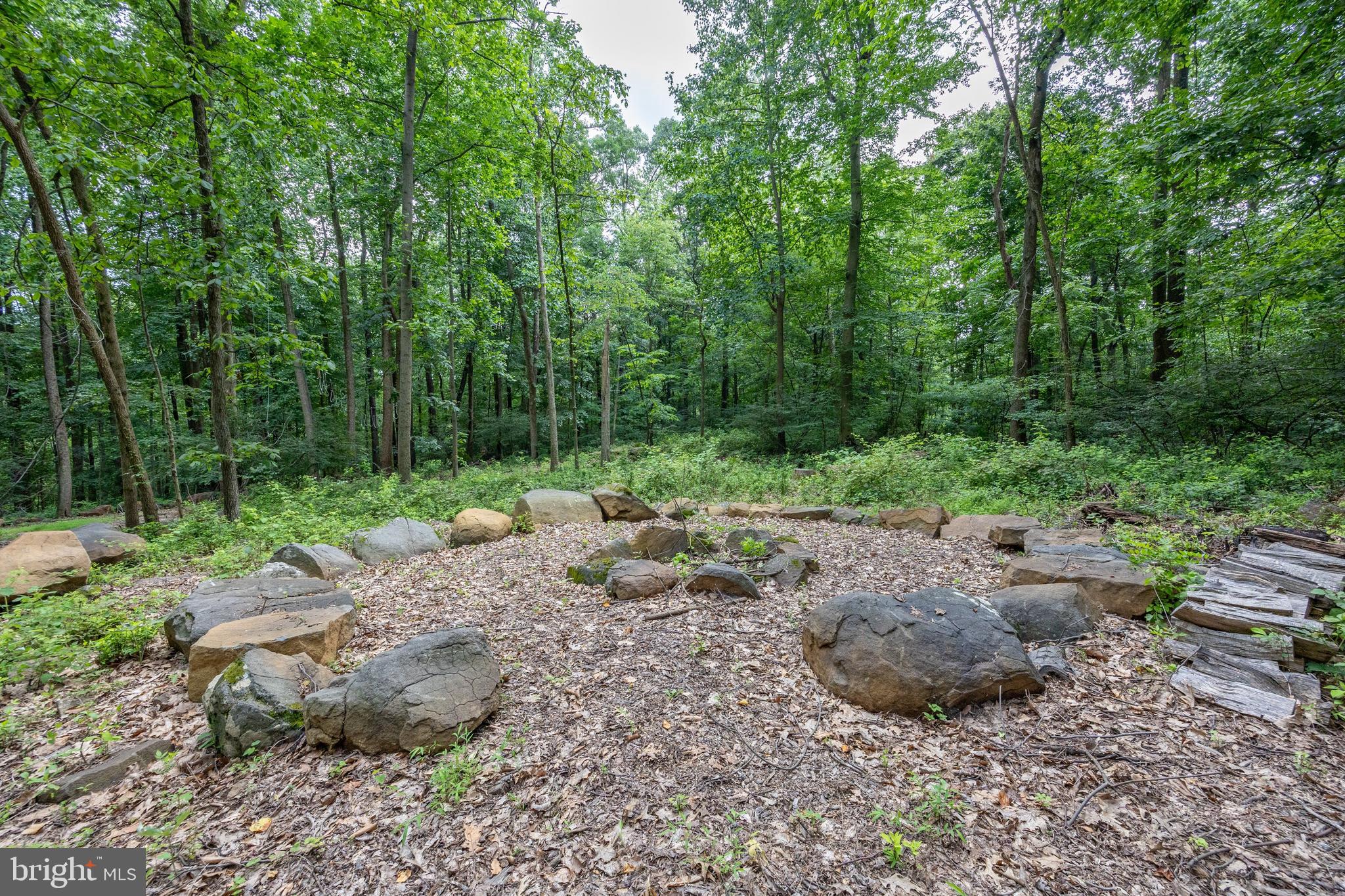 2488 Sanatoga Road Pottstown, PA 19464 - Photo 81 of 92 a view of a backyard with plants and large trees